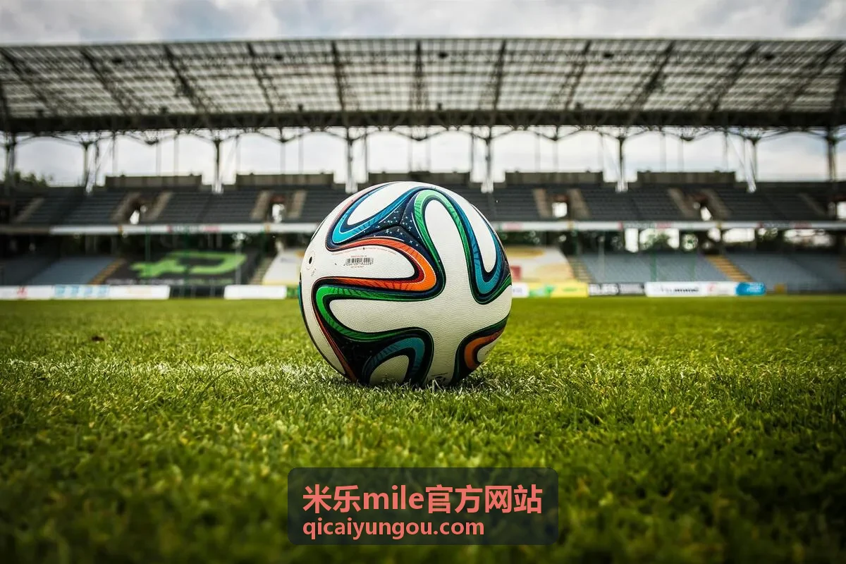 米乐mile官方网站内容服务展示图